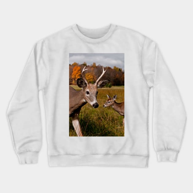 Deer - Photo Bomb Crewneck Sweatshirt by jaydee1400